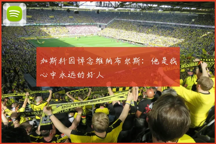 加斯科因悼念维纳布尔斯：他是我心中永远的好人