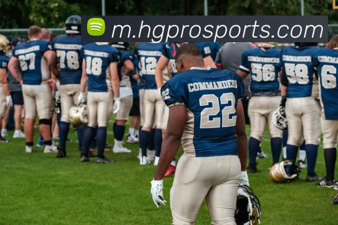 皇冠体育平台生态图